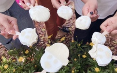 免费人妻无码AV不卡在线